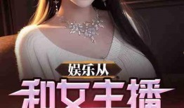 娱乐爆料主播间 小说,揭秘主播间背后的小说世界